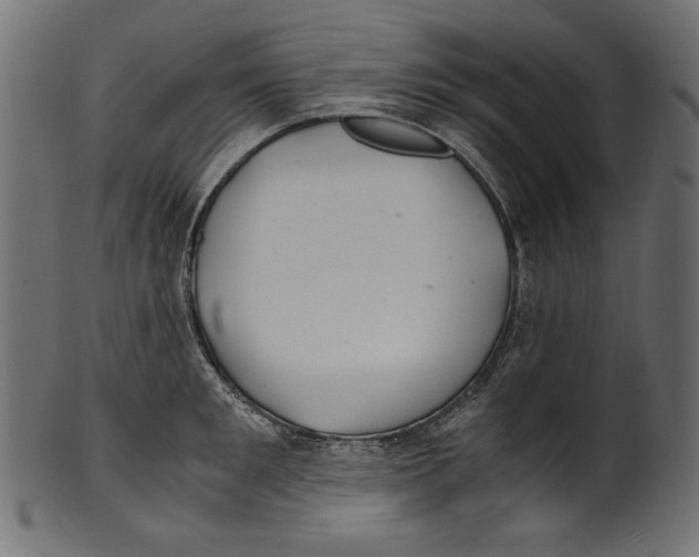 X0000100880901200807181256