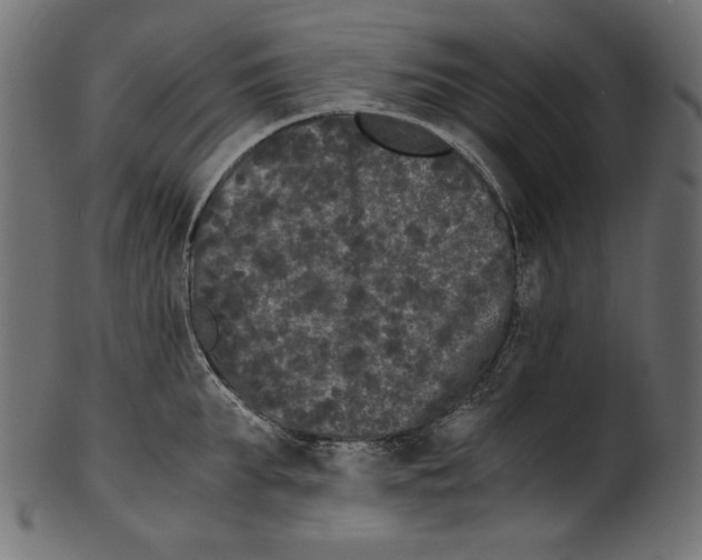 X0000100880903200807181256