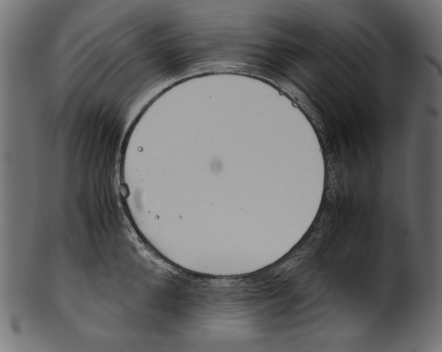 X0000100880904200807181256