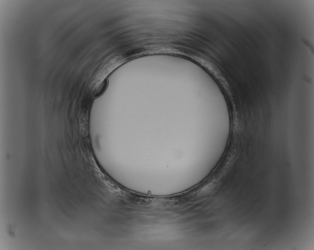 X0000100880905200807181256