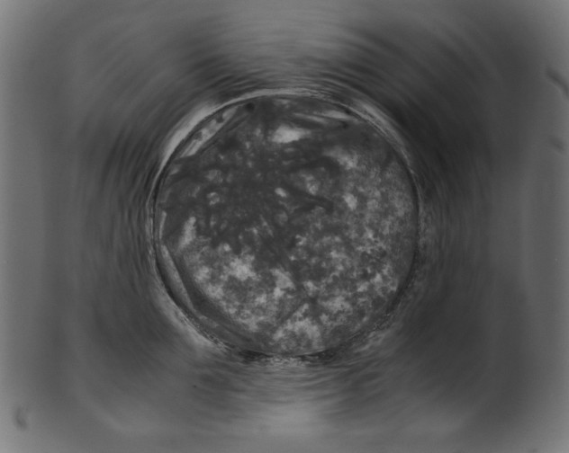 X0000100880907200807181256