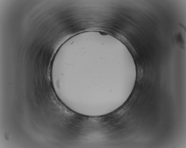 X0000100880908200807181256