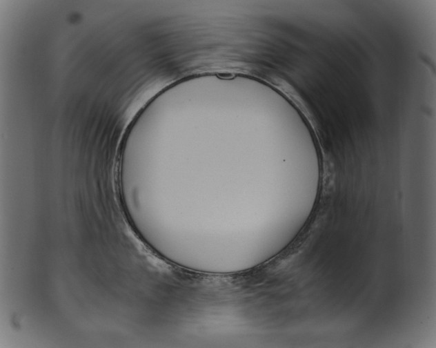 X0000100880909200807181256