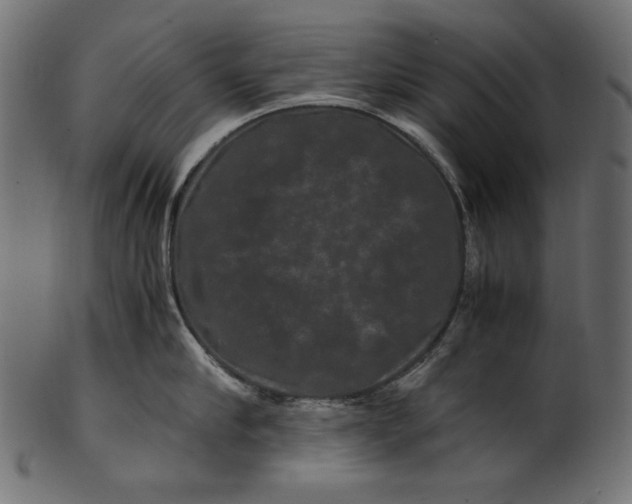 X0000100880910200807181256