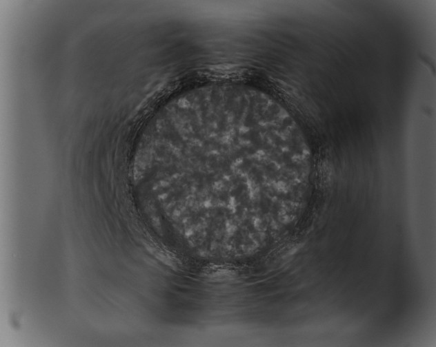 X0000100880913200807181255