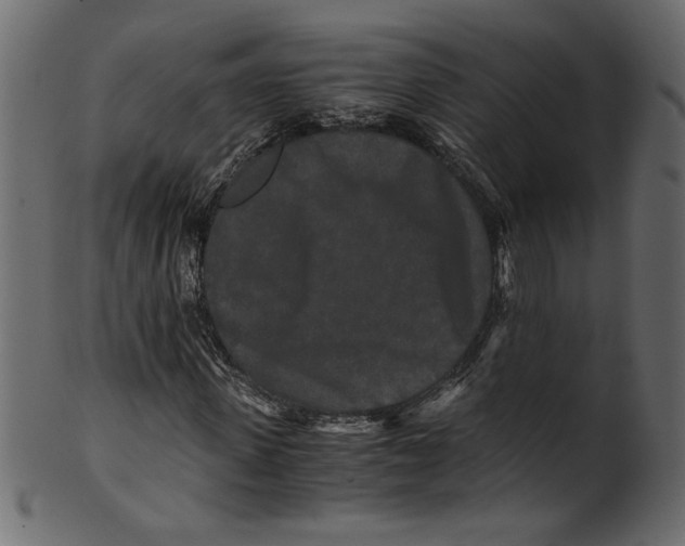 X0000100880915200807181255