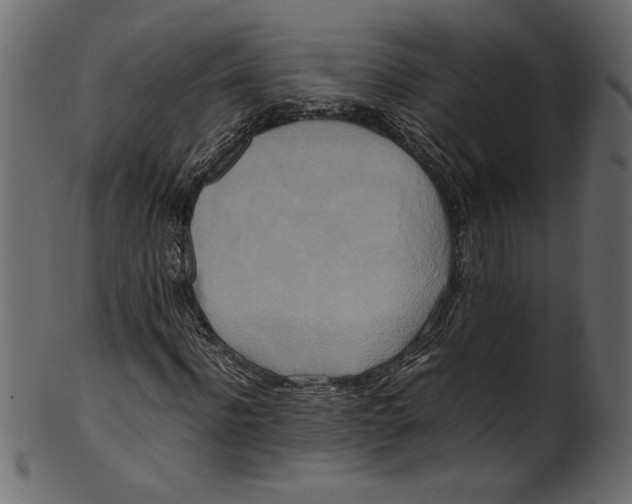 X0000100880916200807181255