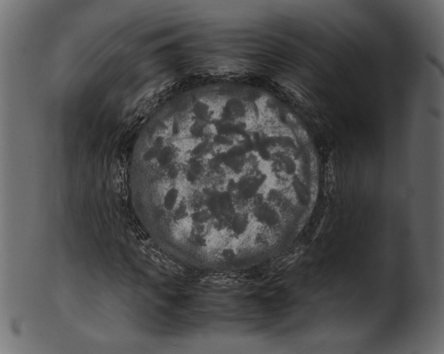 X0000100880917200807181255