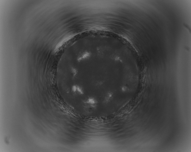 X0000100880919200807181255