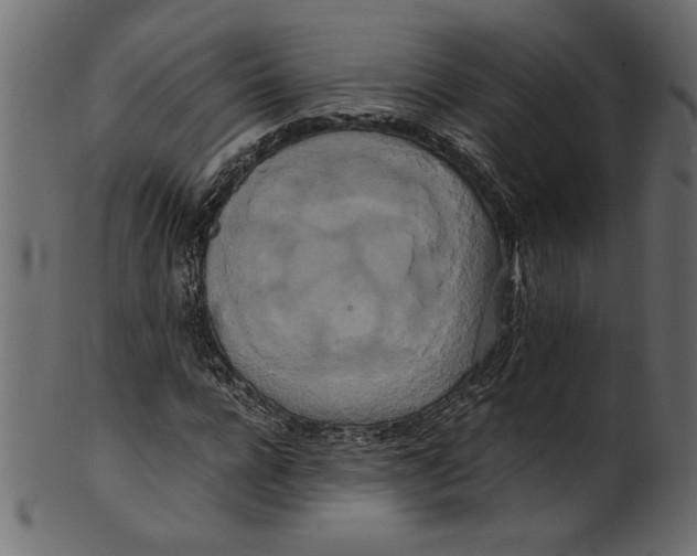 X0000100880920200807181255