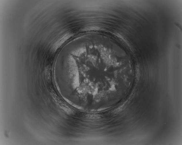 X0000100880921200807181255