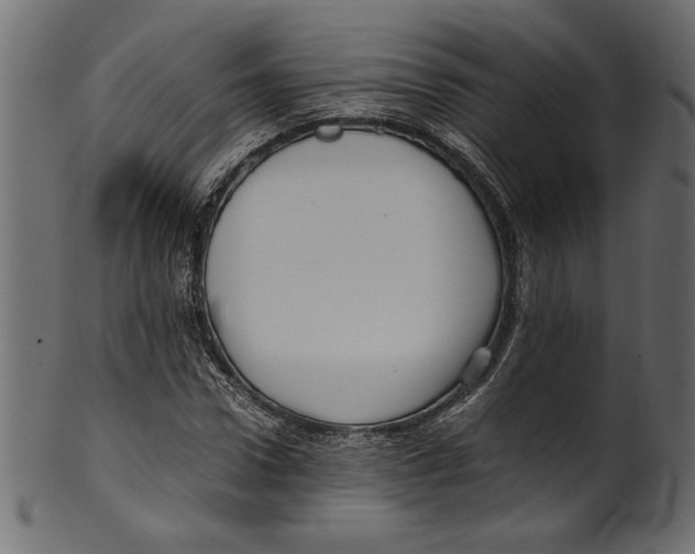 X0000100880922200807181255