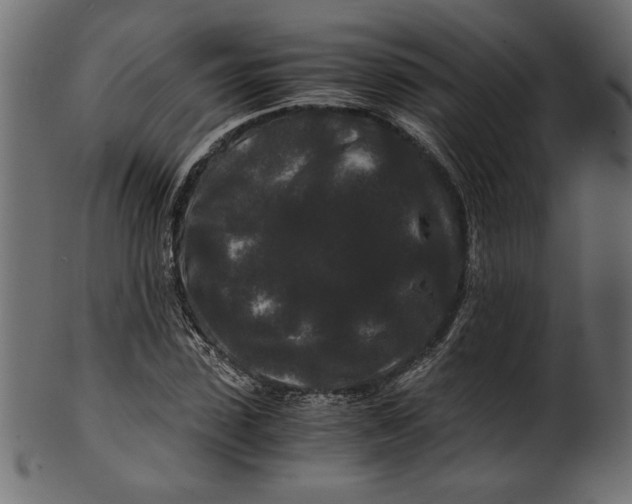 X0000100880923200807181255