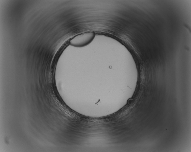 X0000100880924200807181255