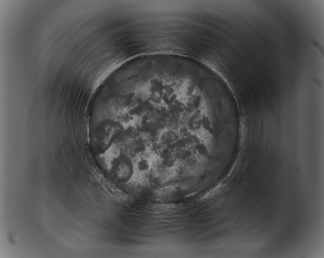 X0000100880925200807181255