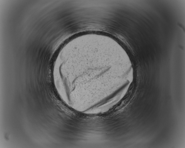 X0000100880926200807181255