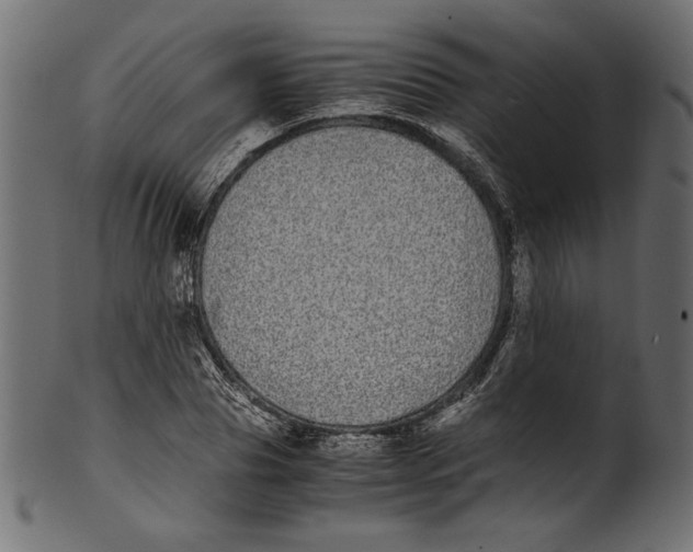 X0000100880929200807181255