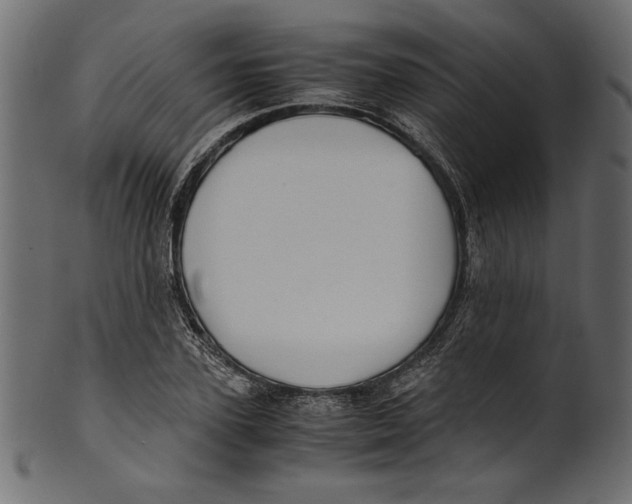 X0000100880931200807181255