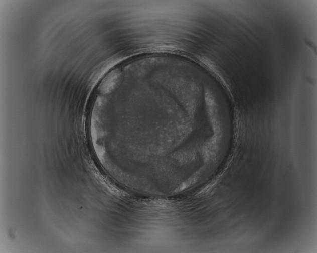 X0000100880932200807181255