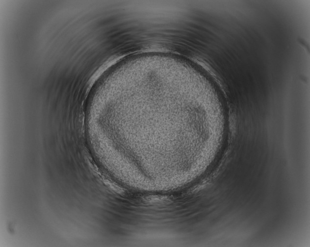 X0000100880933200807181255