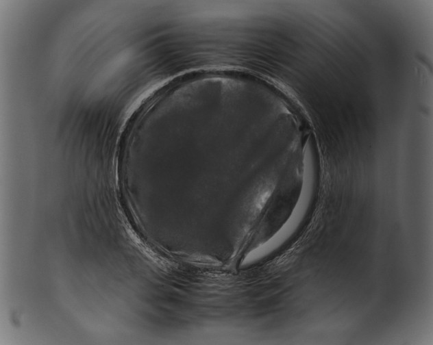 X0000100880935200807181256