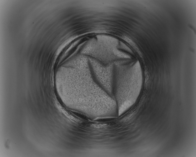 X0000100880939200807181256