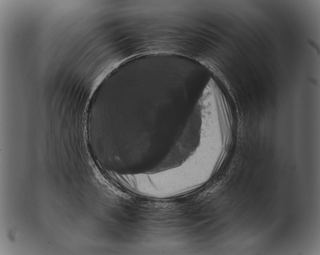 X0000100880941200807181256