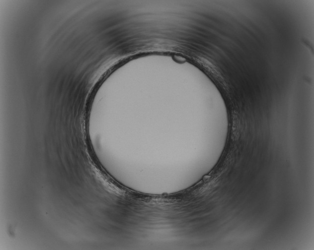 X0000100880942200807181256