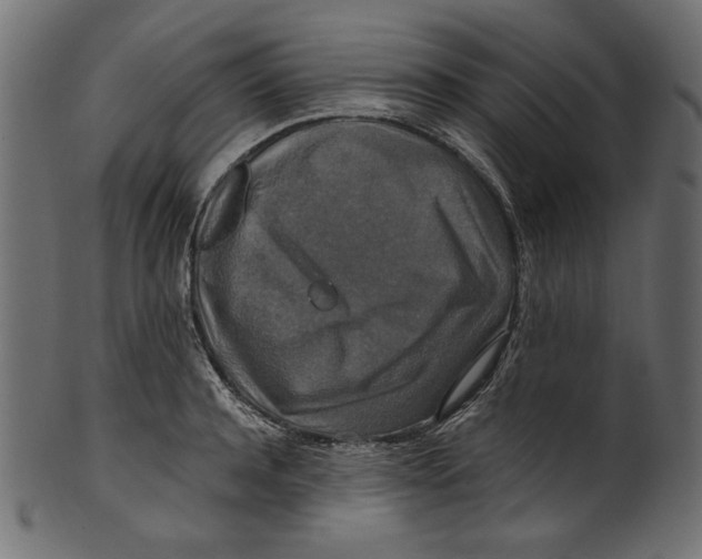 X0000100880944200807181256