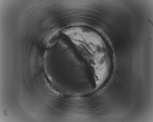 X0000100880945200807181256