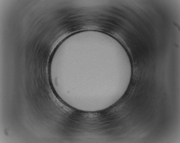 X0000100880947200807181256