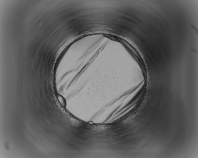 X0000100880949200807181256