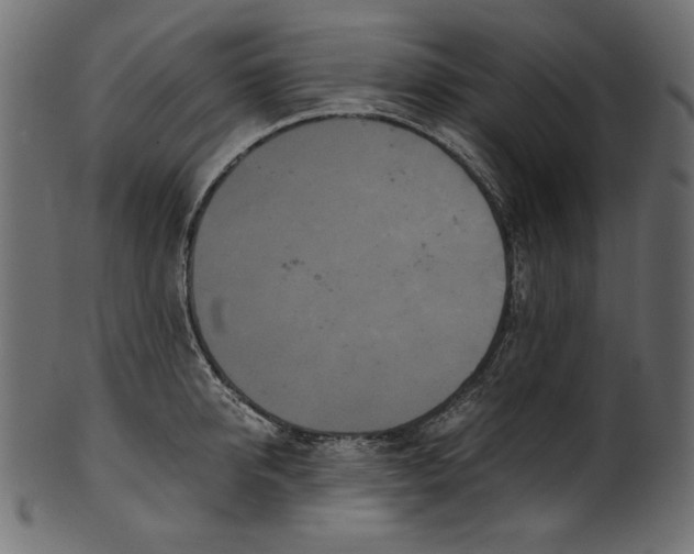 X0000100880950200807181256