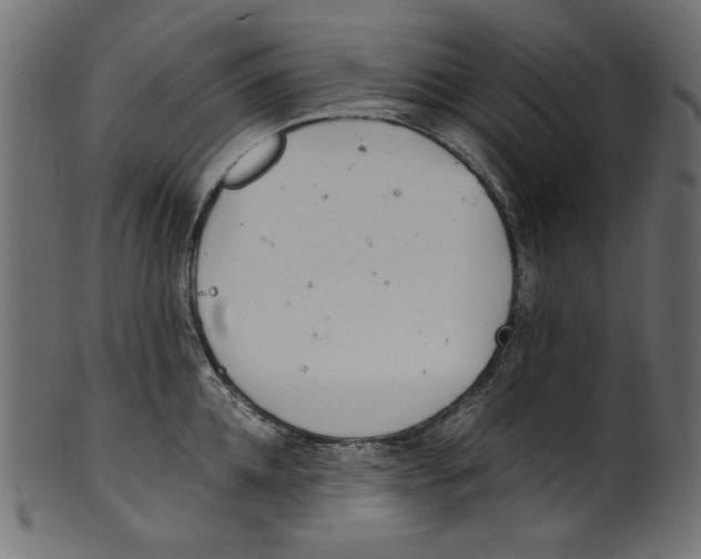 X0000100880952200807181256