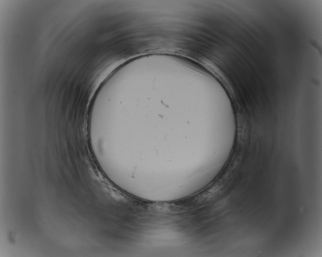 X0000100880956200807181256