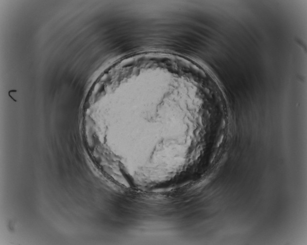 X0000100880957200807181256