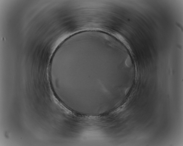 X0000100880958200807181256