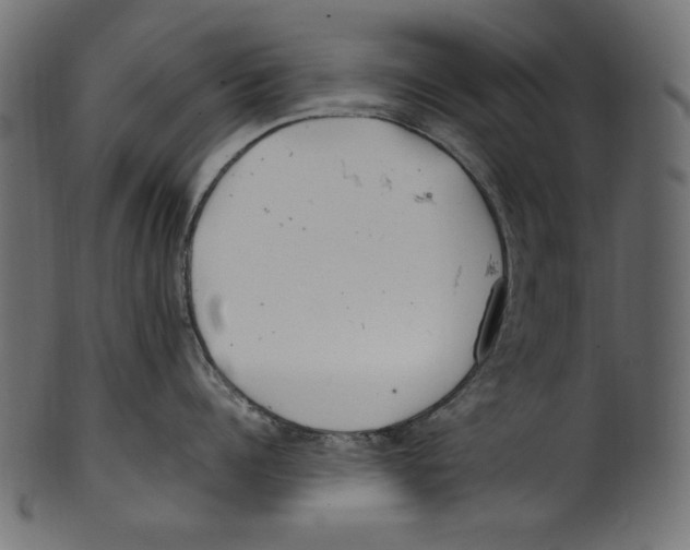 X0000100880960200807181256