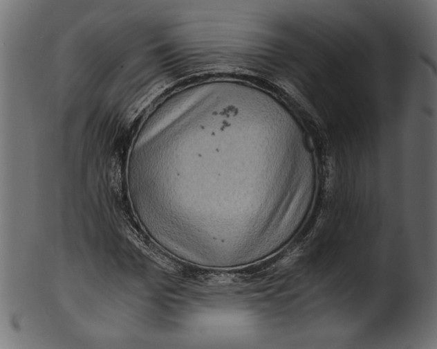 X0000100880969200807181255