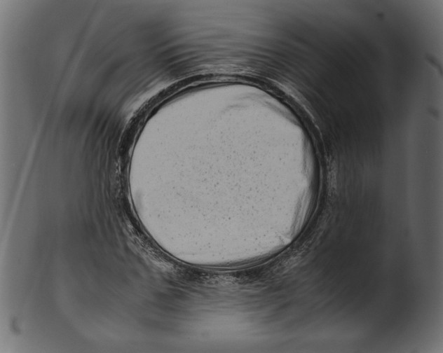 X0000100880971200807181255