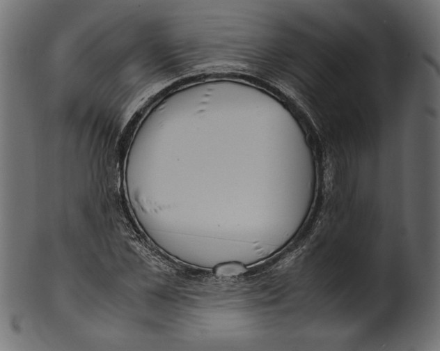 X0000100880973200807181255