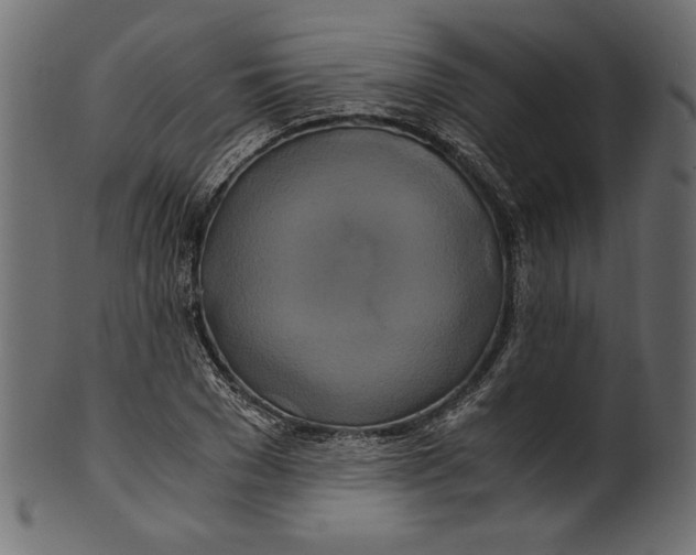 X0000100880977200807181255