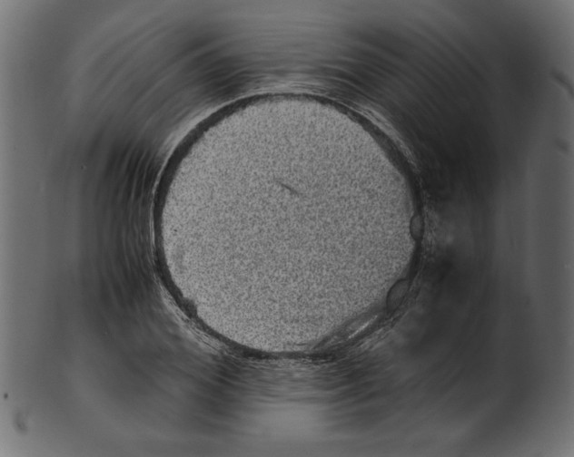 X0000100880980200807181255