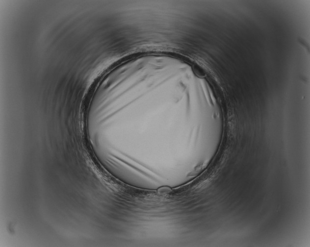 X0000100880981200807181255