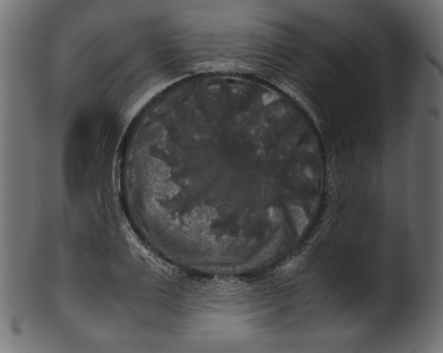 X0000100880983200807181255