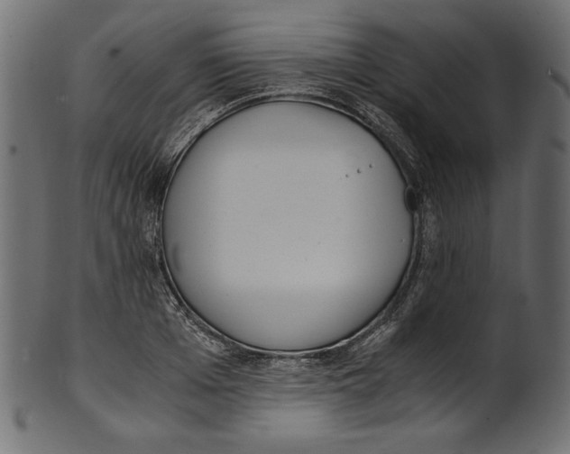 X0000100880985200807181255