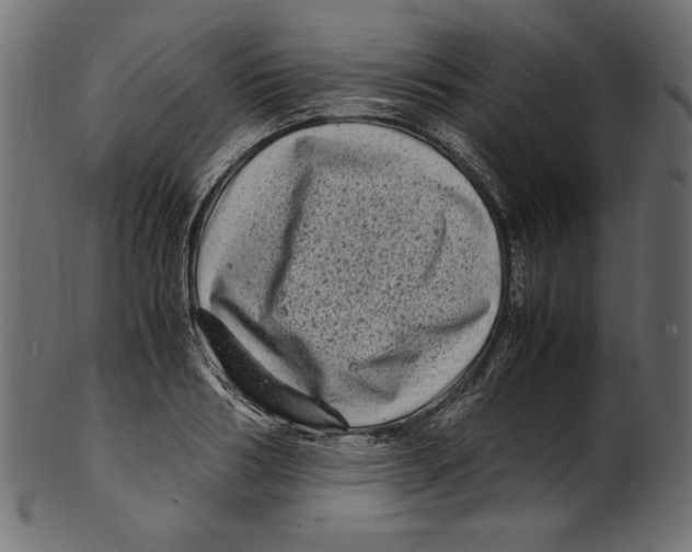 X0000100880986200807181255