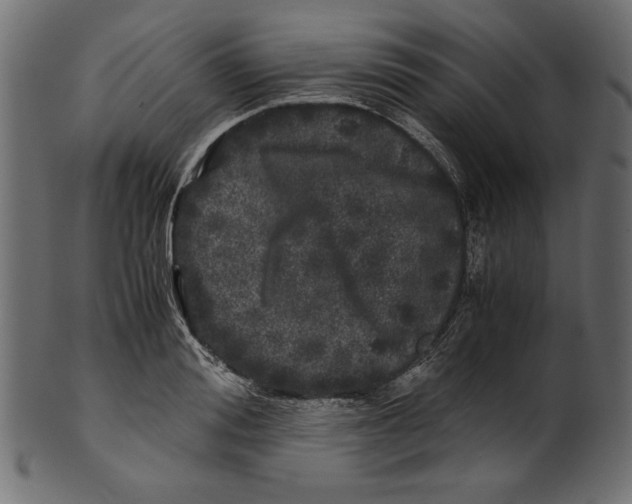 X0000100880988200807181255