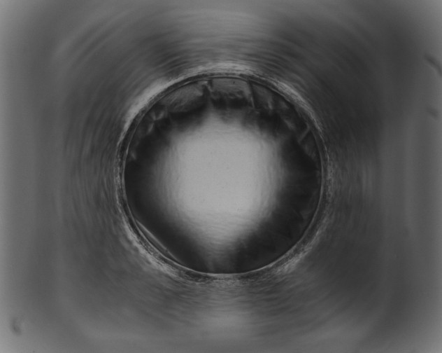 X0000100880989200807181255