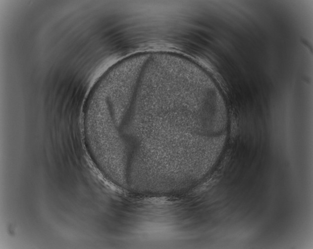 X0000100880990200807181255